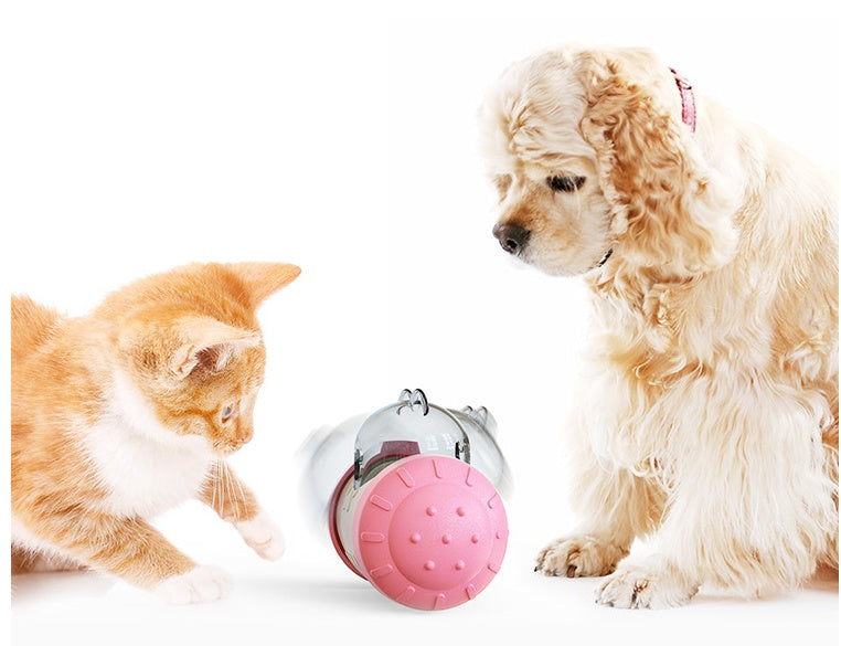 INTERACTIVE TOY FOR PUPPIES DOGS CATS